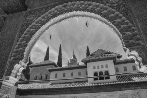 Grado en Estudios Árabes e Isámicos Universidad de Salamanca