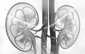 Máster en Urología Funcional